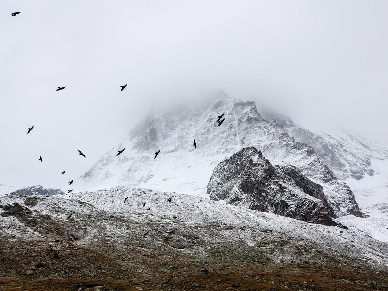 sudoku swordfish screenshot 6